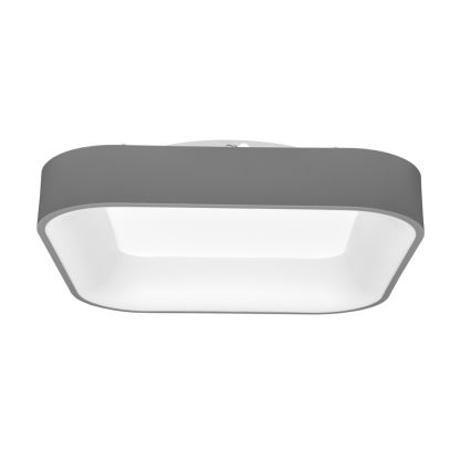 LED Plafon ściemnialny NEST LED/40W/230V 3000-6500K szary + pilot