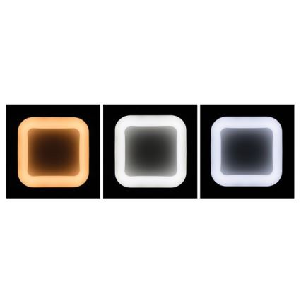 LED Plafon ściemnialny NEST LED/40W/230V 3000-6500K szary + pilot