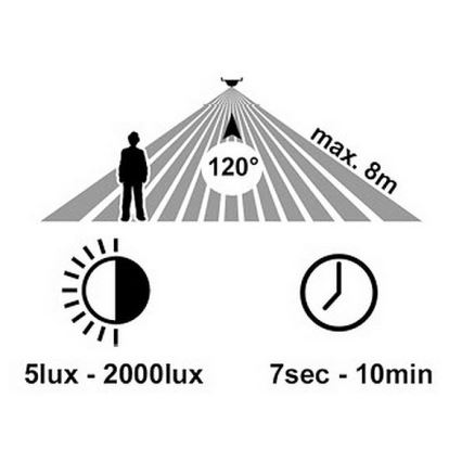 LED Kinkiet zewnętrzny z czujnikiem RITA LED/12W/230V 4000K IP65