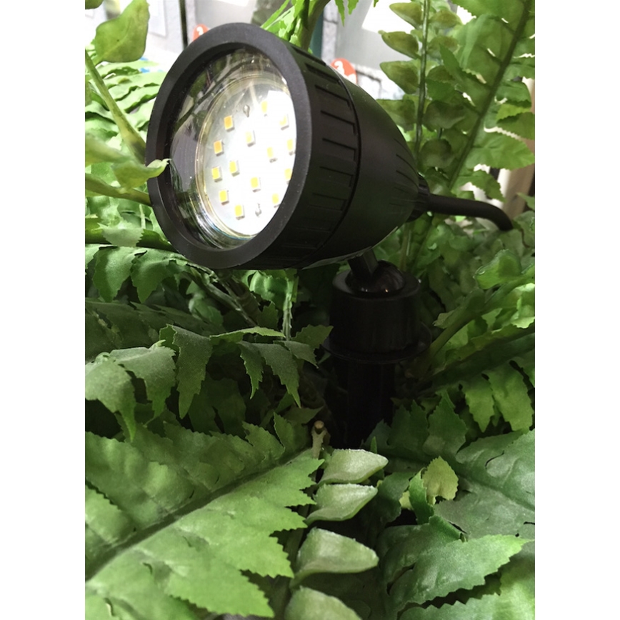 Eglo 13707 - LED Oświetlenie zewnętrzne NEMA 1 GU10-LED/3W/230V