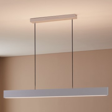 Eglo 31436 - LED RGBW Ściemnialny żyrandol na lince ANDREAS-Z LED/38W/230V 2700-6500K biały