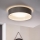 Eglo 31623 - Lampa sufitowa LED MASERLO LED/16W/230V 3000K śr. 40,5 cm szara/srebrna