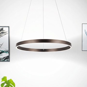 Eglo 33483 - LED żyrandol na linkach ALCAZABA 2xLED/18W/230V 3000K śr. 55 cm brązowy