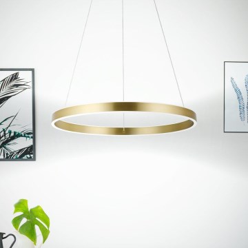 Eglo 33484 - Lampa wisząca LED na lince ALCAZABA 2xLED/18W/230V 3000K Ø 55 cm złota