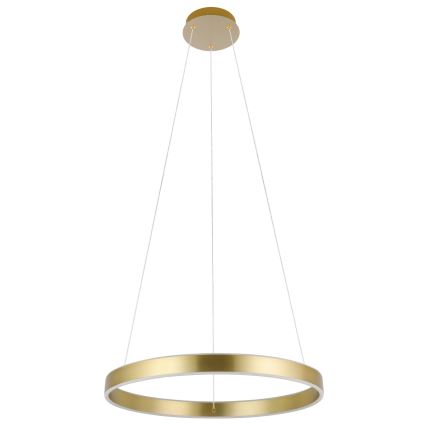 Eglo 33484 - Lampa wisząca LED na lince ALCAZABA 2xLED/18W/230V 3000K Ø 55 cm złota