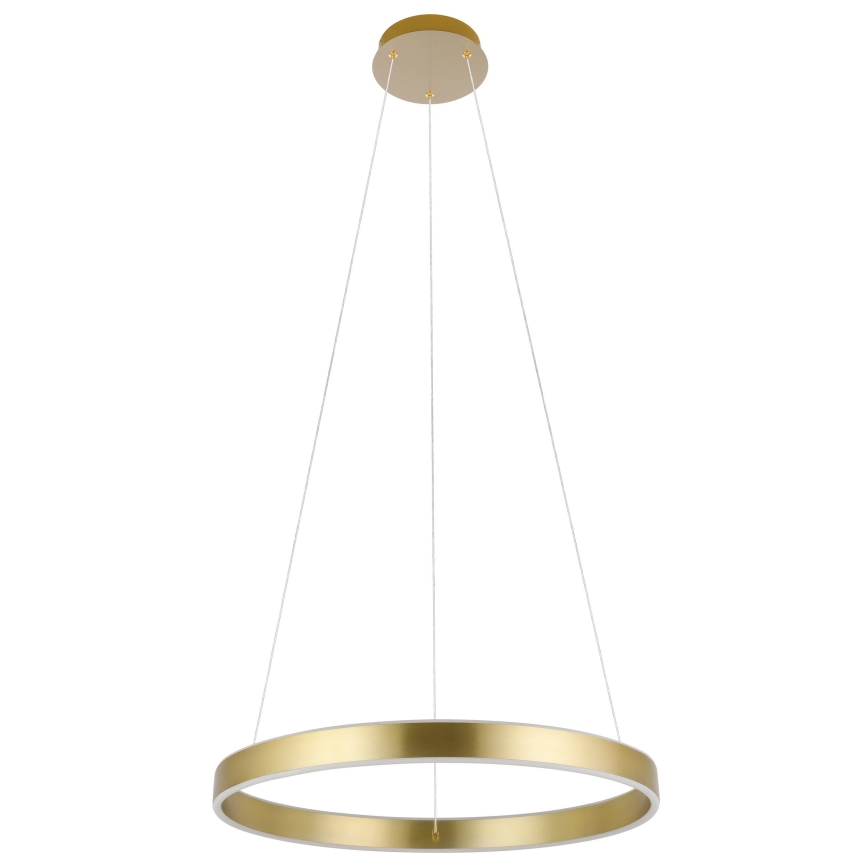 Eglo 33484 - Lampa wisząca LED na lince ALCAZABA 2xLED/18W/230V 3000K Ø 55 cm złota