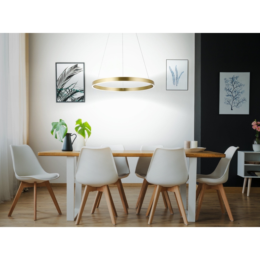 Eglo 33484 - Lampa wisząca LED na lince ALCAZABA 2xLED/18W/230V 3000K Ø 55 cm złota