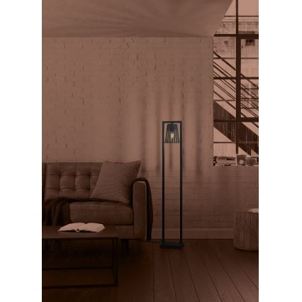 Eglo - Lampa podłogowa 1xE27/40W/230V czarny