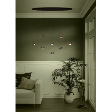 Eglo - LED Żyrandol ściemnialny na lince 8xLED/4,2W/230V 3000K czarny