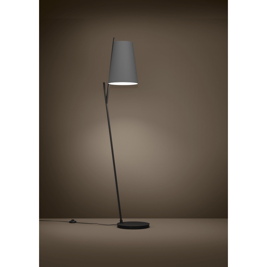 Eglo - Lampa podłogowa 1xE27/40W/230V szara