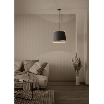 Eglo - Żyrandol na lince 1xE27/40W/230V czarny
