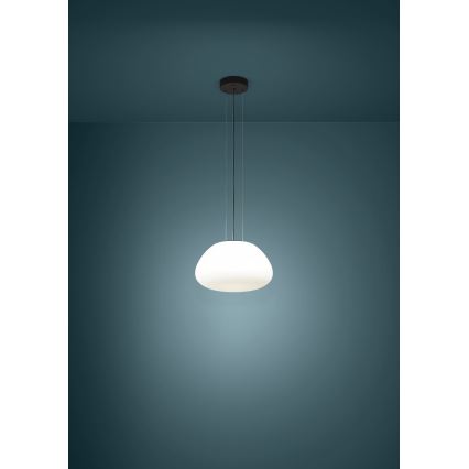 Eglo - Żyrandol na lince 1xE27/40W/230V czarny