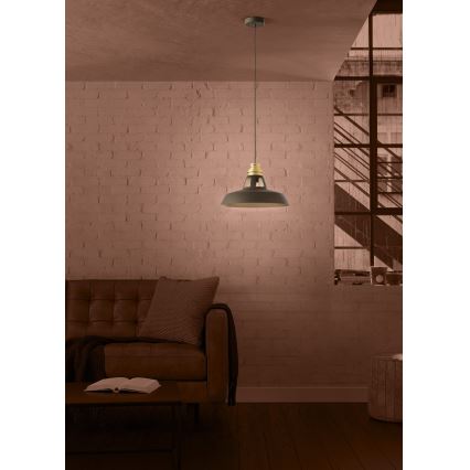 Eglo - Żyrandol na lince 1xE27/40W/230V czarny/złoty