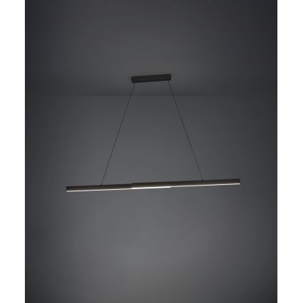Eglo - LED Żyrandol ściemnialny na lince LED/20W/230V 3000K czarny