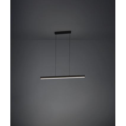 Eglo - LED Żyrandol ściemnialny na lince LED/20W/230V 3000K czarny