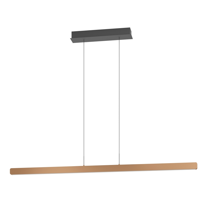 Eglo Stars of Light - LED ściemnialny żyrandol na lince LED/30W/230V 2200-6500K złoty + pilot zdalnego sterowania