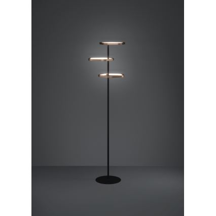 Eglo - LED ściemnialna lampa stojąca LED/20W/230V 2200-6500K mosiądz