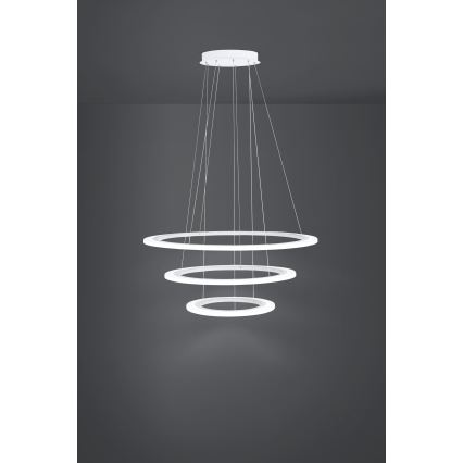 Eglo - LED Żyrandol ściemnialny na lince 1xLED/45W/230V + 1xLED/33W + 1xLED/19,5W