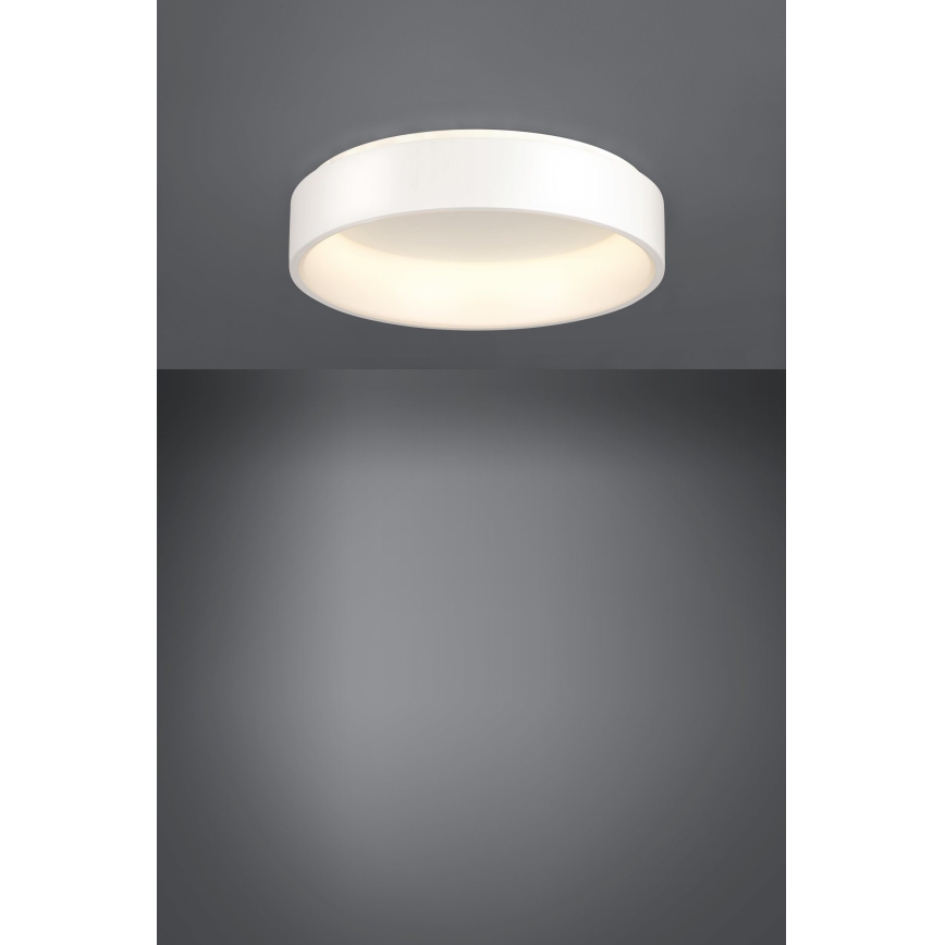Eglo - LED Plafon ściemnialny 1 LED/35,2W/230V