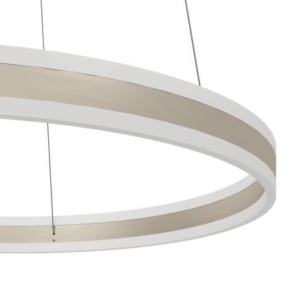 Eglo - LED Żyrandol ściemnialny na lince LED/78W/230V
