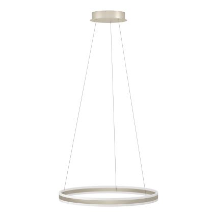 Eglo - LED Żyrandol ściemnialny na lince LED/78W/230V