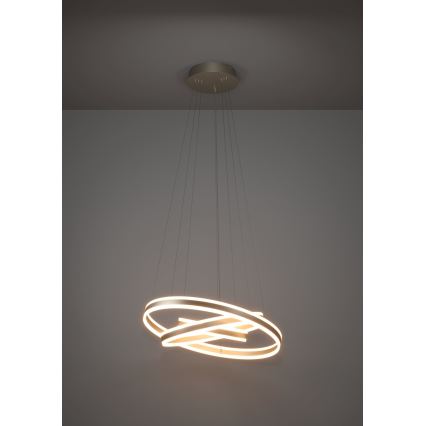 Eglo - LED Żyrandol ściemnialny na lince LED/78W/230V + LED/70W + LED/34W