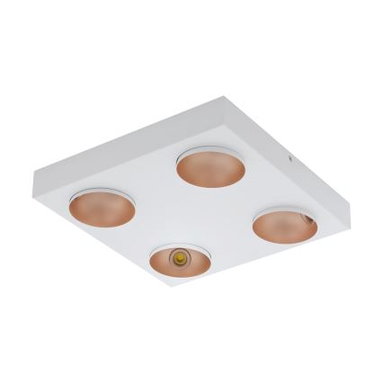 Eglo - LED Plafon 4xLED/3,3W/230V