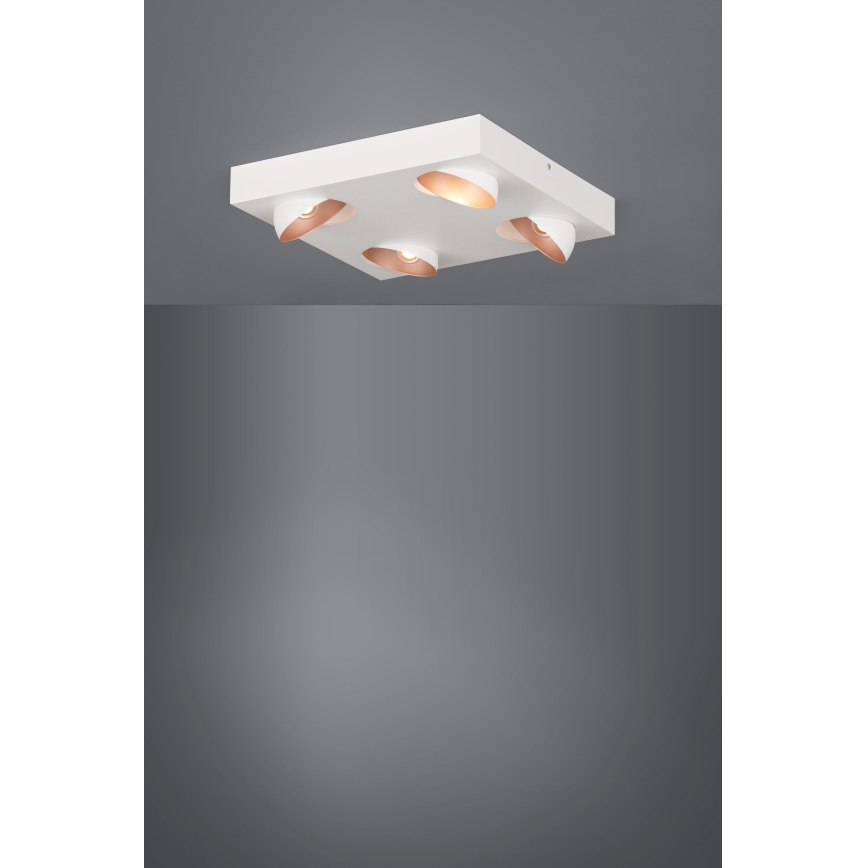 Eglo - LED Plafon 4xLED/3,3W/230V