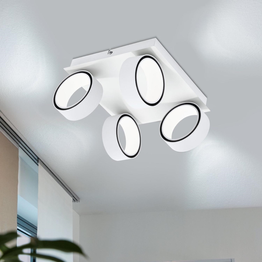 Eglo 39587 - LED Oświetlenie punktowe ALBARIZA 4xLED/4,6W/230V