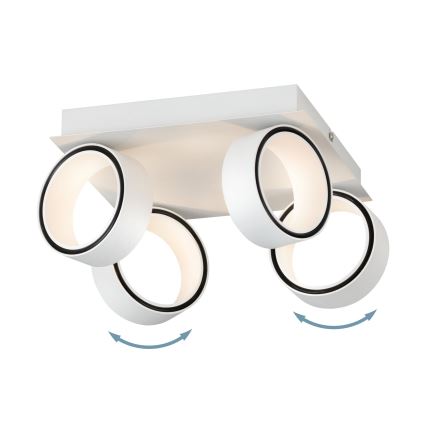 Eglo 39587 - LED Oświetlenie punktowe ALBARIZA 4xLED/4,6W/230V