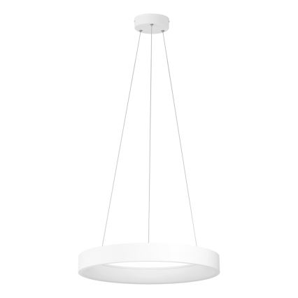 Eglo  - LED Ściemniany żyrandol na lince LED/34W/230V