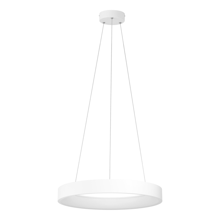 Eglo  - LED Ściemniany żyrandol na lince LED/34W/230V