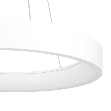 Eglo  - LED Ściemniany żyrandol na lince LED/34W/230V
