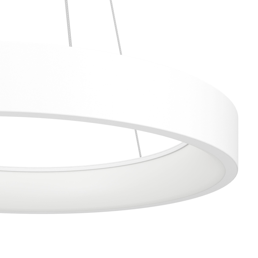 Eglo  - LED Ściemniany żyrandol na lince LED/34W/230V