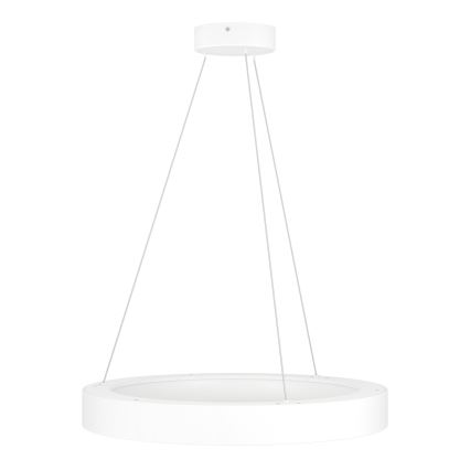 Eglo  - LED Ściemniany żyrandol na lince LED/34W/230V