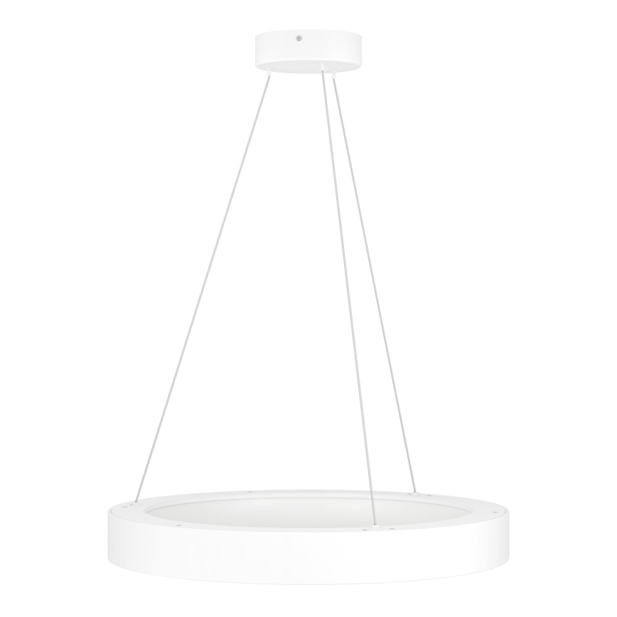 Eglo  - LED Ściemniany żyrandol na lince LED/34W/230V