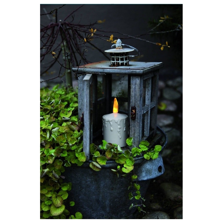 Eglo - LED dekoracja świąteczna LED/0,06W/2xAA