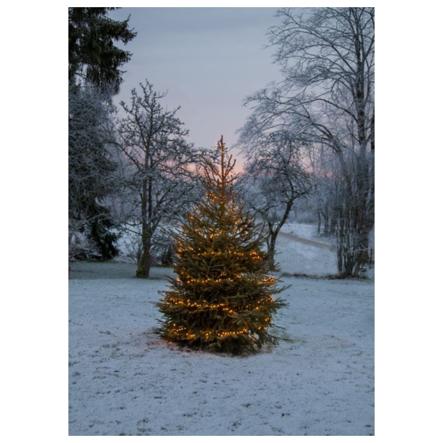 Eglo - LED Zewnętrzny łańcuch bożonaridzeniowy 1200xLED 24m IP44 ciepła biel
