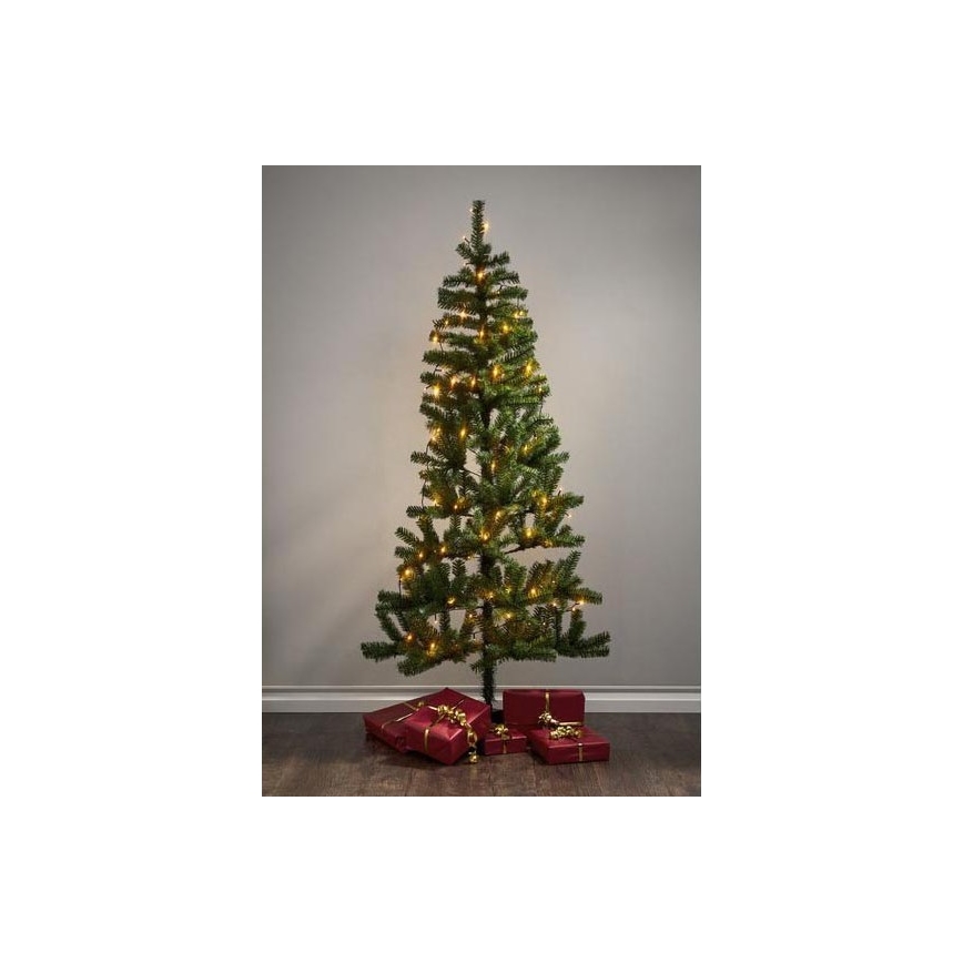 Eglo - Zewnętrzny łańcuch świetlny LED 80 diod 10,5 m IP44 ciepła biel