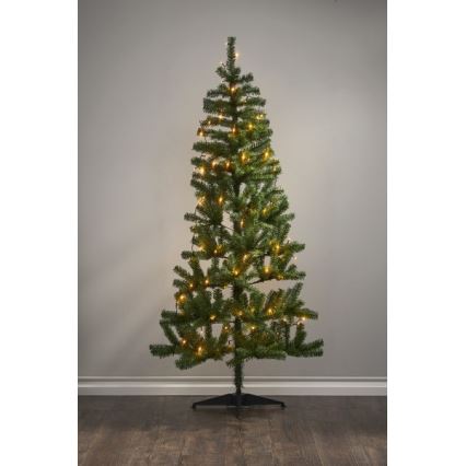 Eglo - Zewnętrzny łańcuch świetlny LED 80 diod 10,5 m IP44 ciepła biel