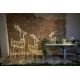 Eglo - LED Zewnętrzna dekoracja bożonarodzeniowa 220xLED/0,06W/6/230V IP44