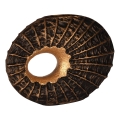 Eglo 421586 - Dekoracja SAKTI 29x40 cm brązowa