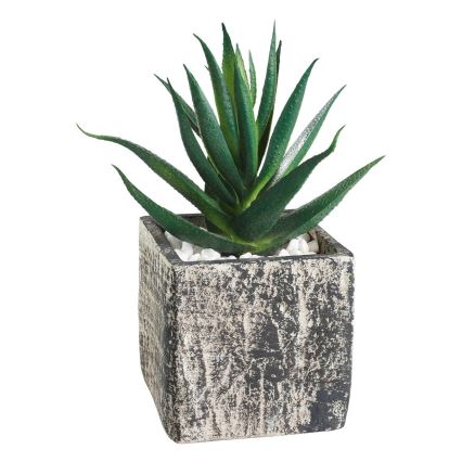 Eglo - Sztuczna roślina w doniczce 13x9,5 cm sukulent