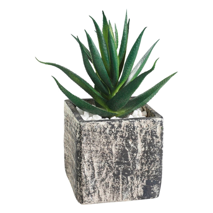 Eglo - Sztuczna roślina w doniczce 13x9,5 cm sukulent