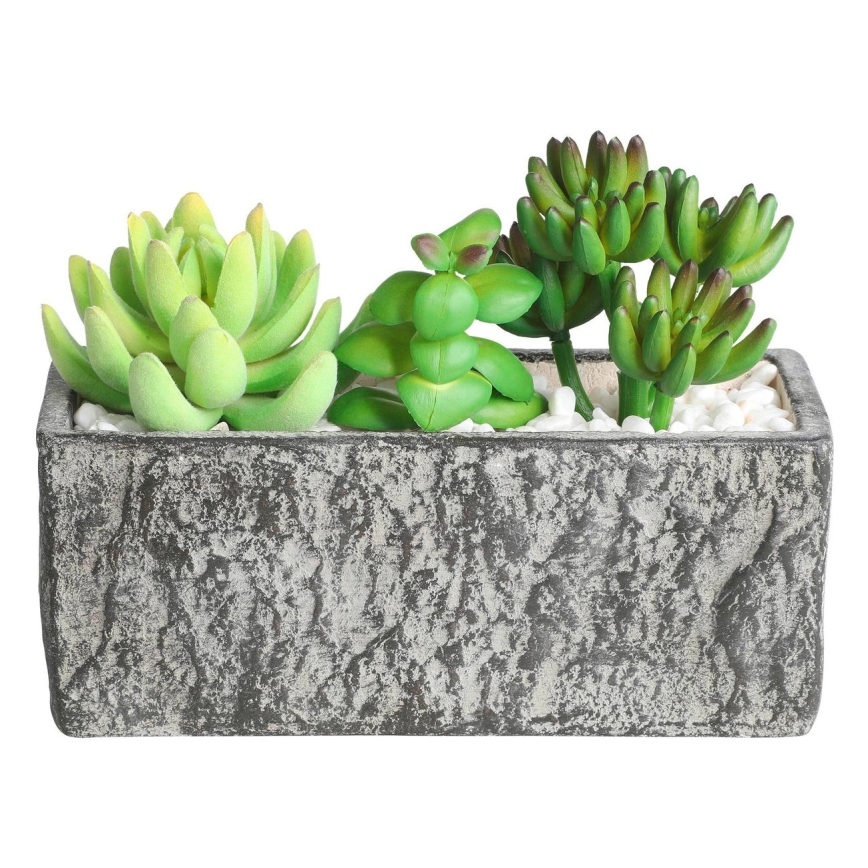 Eglo - Sztuczna roślina w doniczce 14,5x17,8 cm sukulent