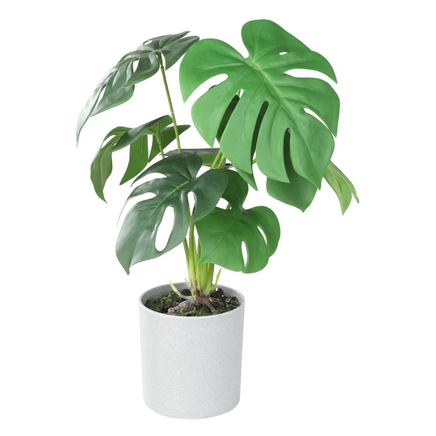 Eglo - Sztuczna roślina w doniczce 42x30 cm monstera