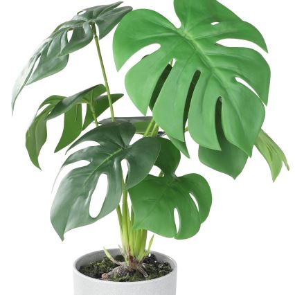 Eglo - Sztuczna roślina w doniczce 42x30 cm monstera