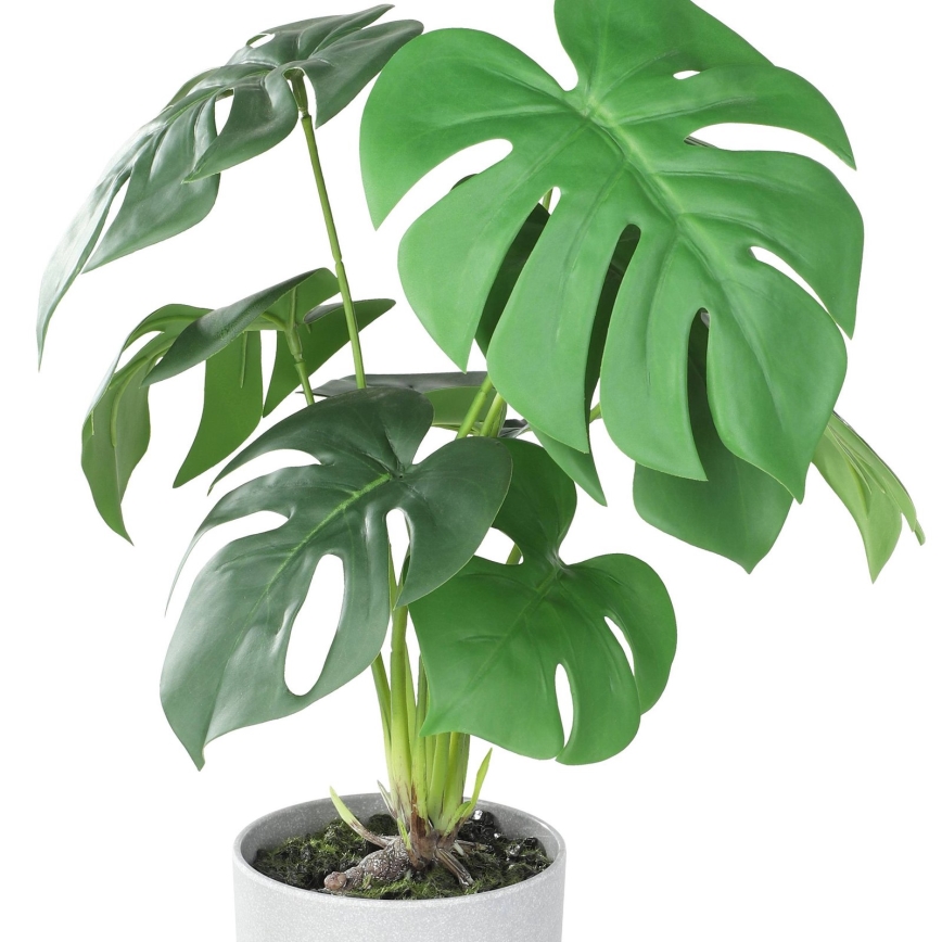 Eglo - Sztuczna roślina w doniczce 42x30 cm monstera