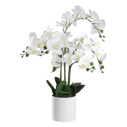 Eglo - Sztuczna roślina w doniczce 65x50 cm orchidea