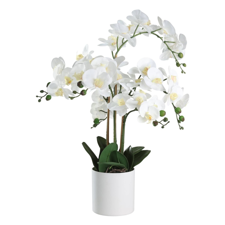 Eglo - Sztuczna roślina w doniczce 65x50 cm orchidea